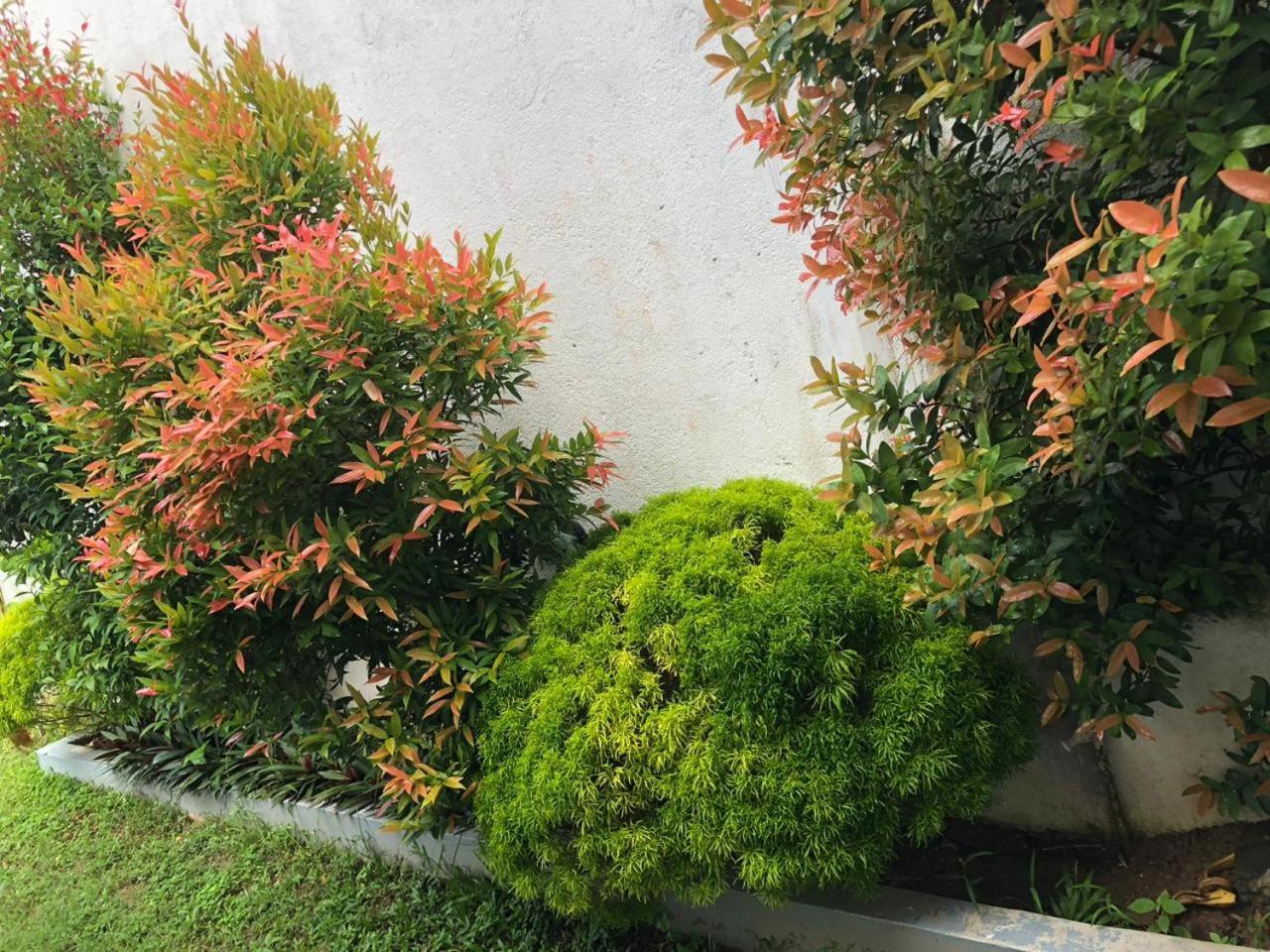 Vidushi Home Minuwangoda Esterno foto