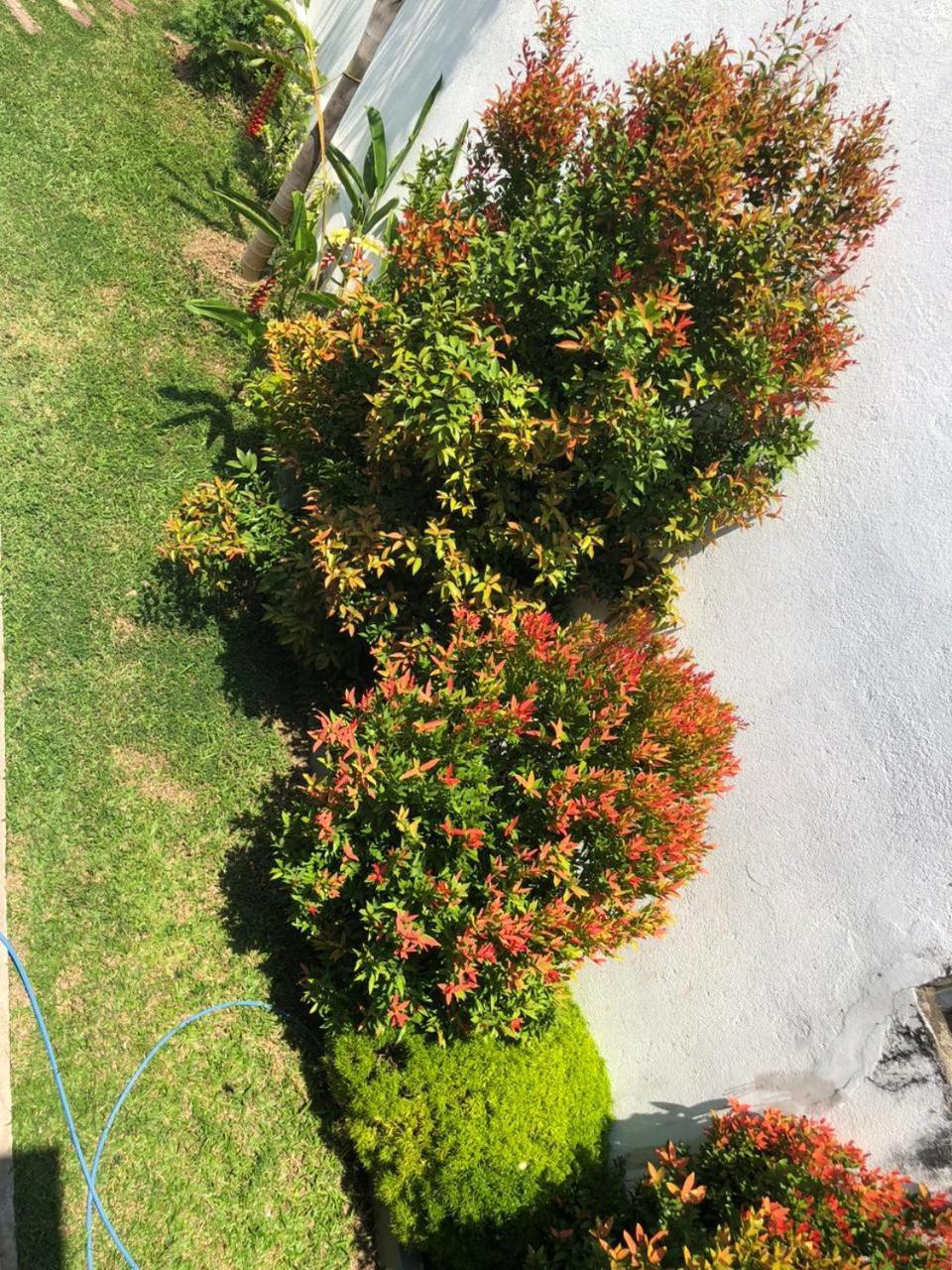 Vidushi Home Minuwangoda Esterno foto