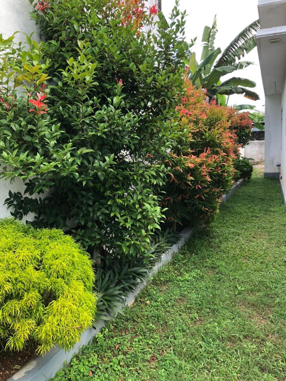 Vidushi Home Minuwangoda Esterno foto